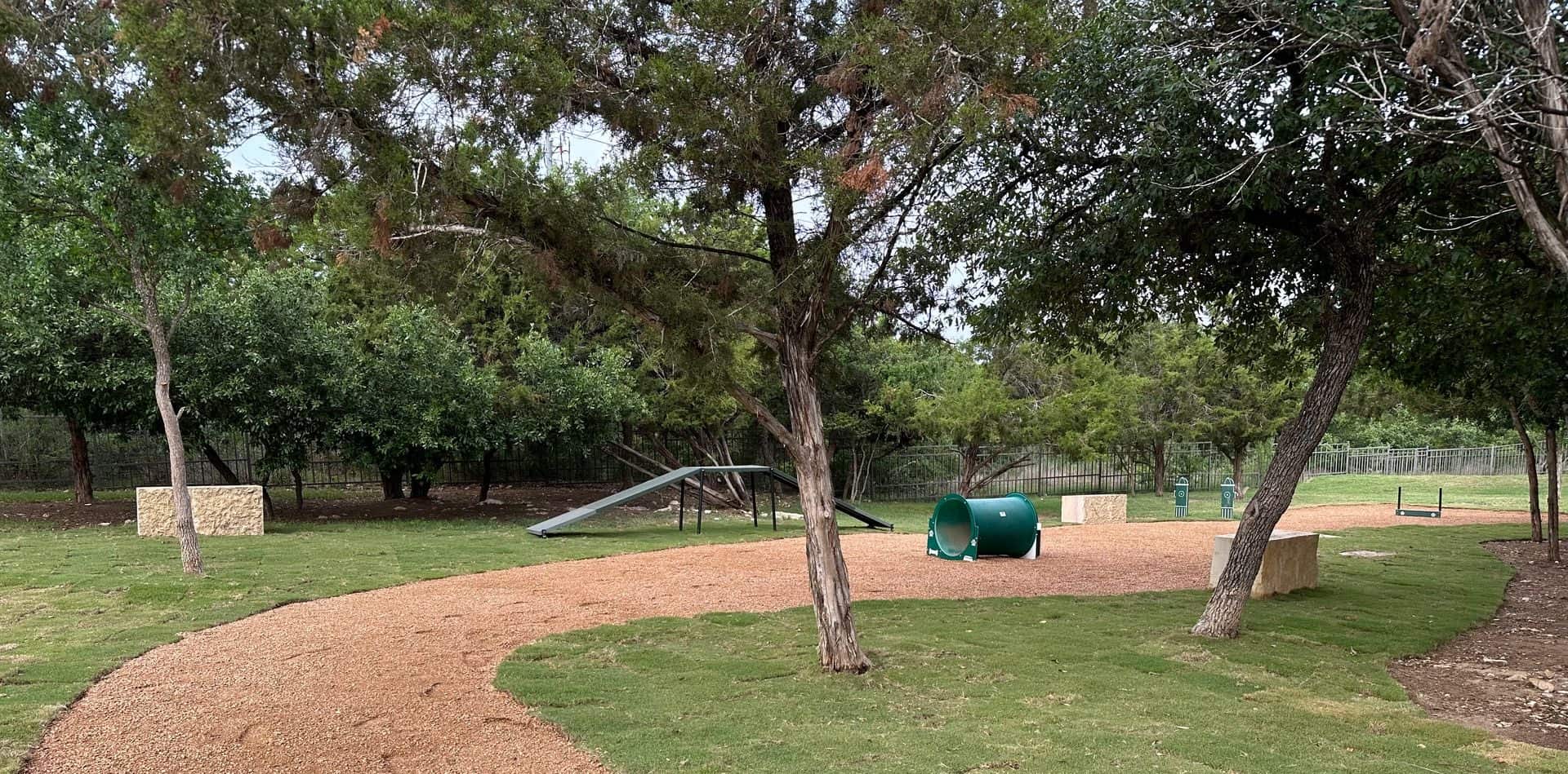 A leaning tree at a playground in Austin, TX