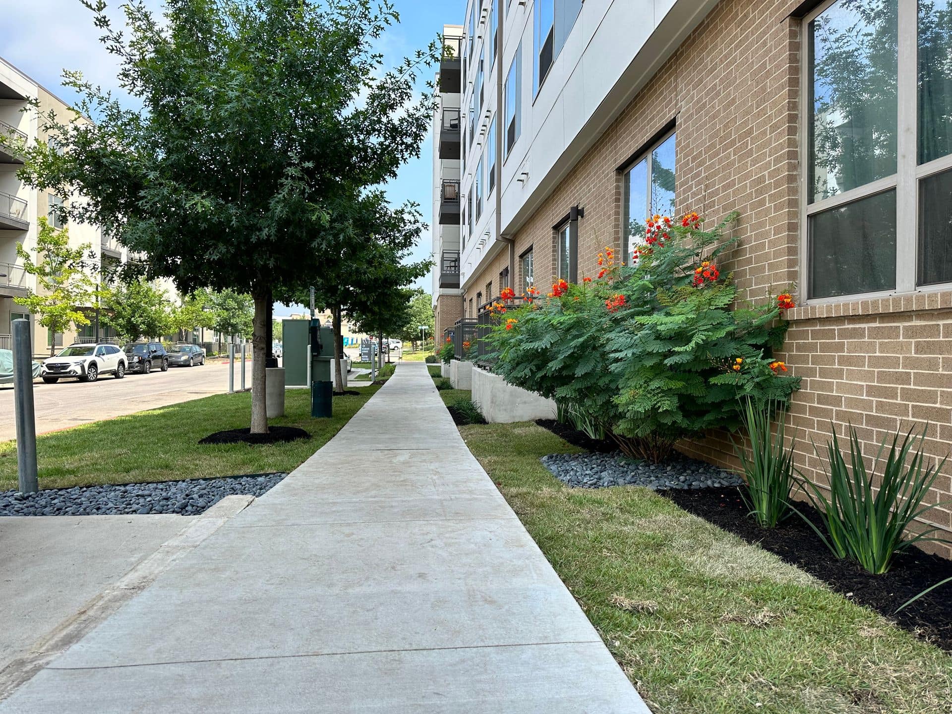 Sidewalk beside a modern apartment building with trees, grass, and red flowering shrubs.