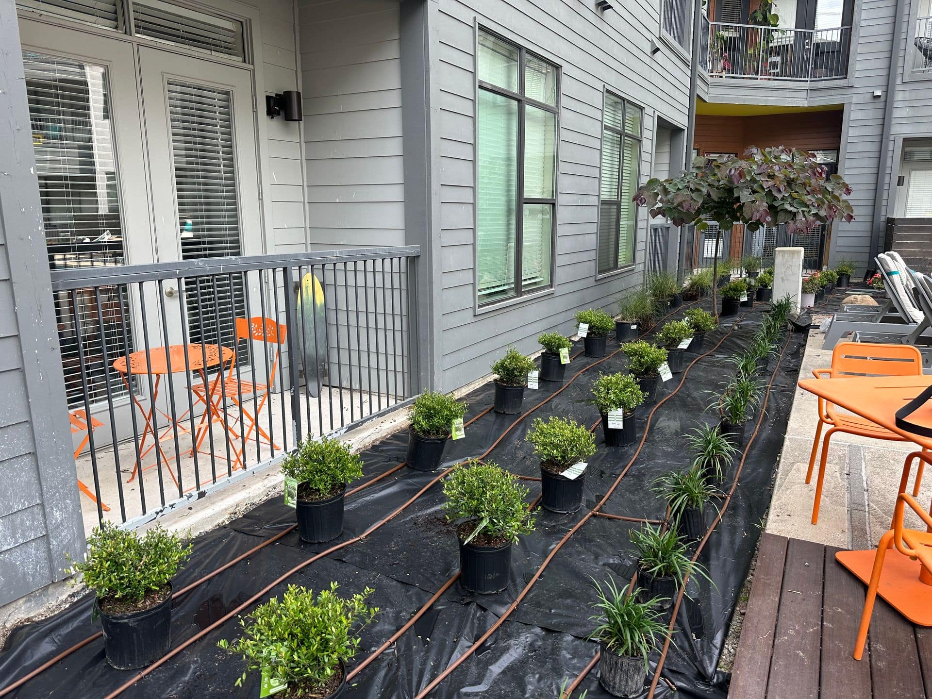 Sustainable landscaping in Austin, TX with native plants, mulch beds, and water-wise design for drought-tolerant yards