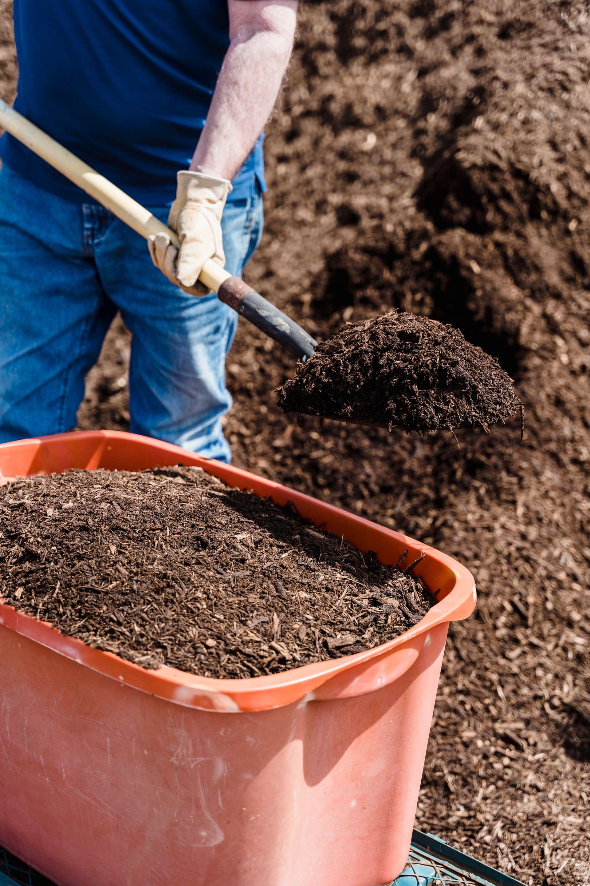 Close-up of premium dark hardwood mulch highlighting the benefits of mulching soil beds.
